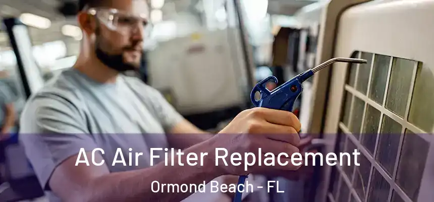  AC Air Filter Replacement Ormond Beach - FL