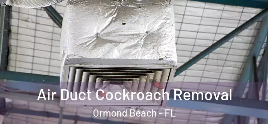  Air Duct Cockroach Removal Ormond Beach - FL