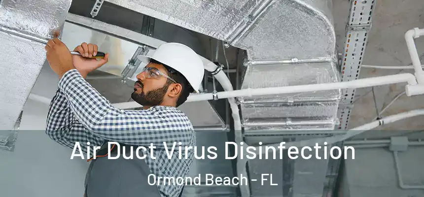  Air Duct Virus Disinfection Ormond Beach - FL
