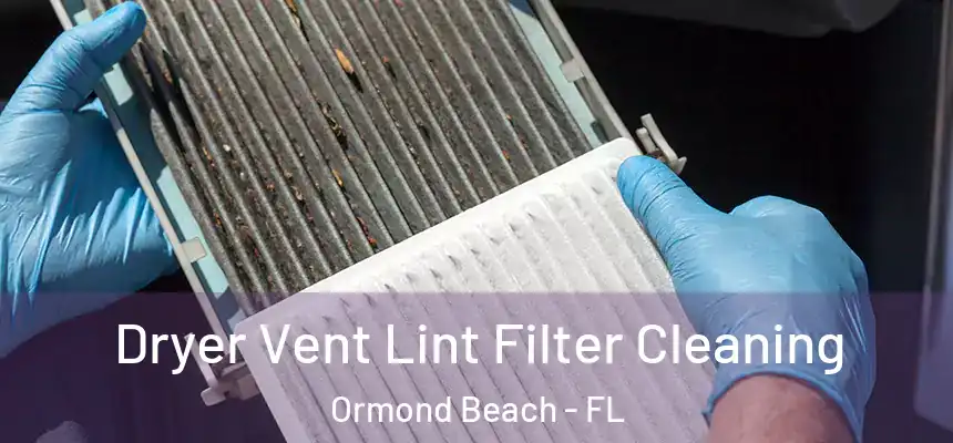 Dryer Vent Lint Filter Cleaning Ormond Beach - FL