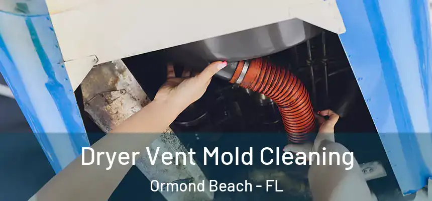  Dryer Vent Mold Cleaning Ormond Beach - FL