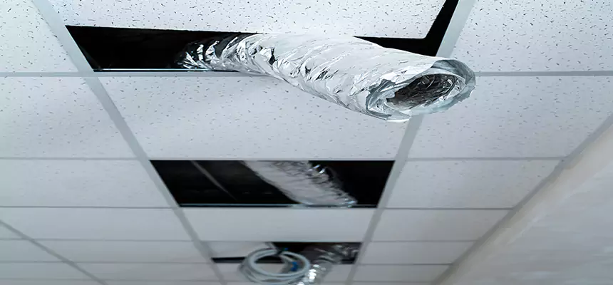 Affordable HVAC Sanitizing After Pest Removal in Ormond Beach