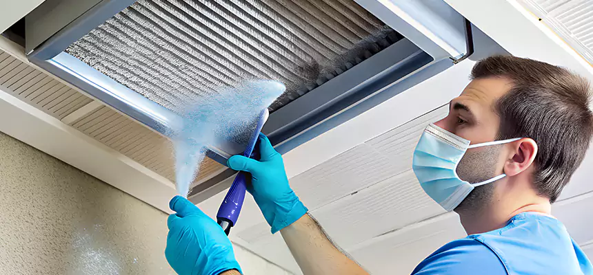 Proactive Dryer Vent & Auxiliary Duct Pollen Cleanup in Ormond Beach, FL