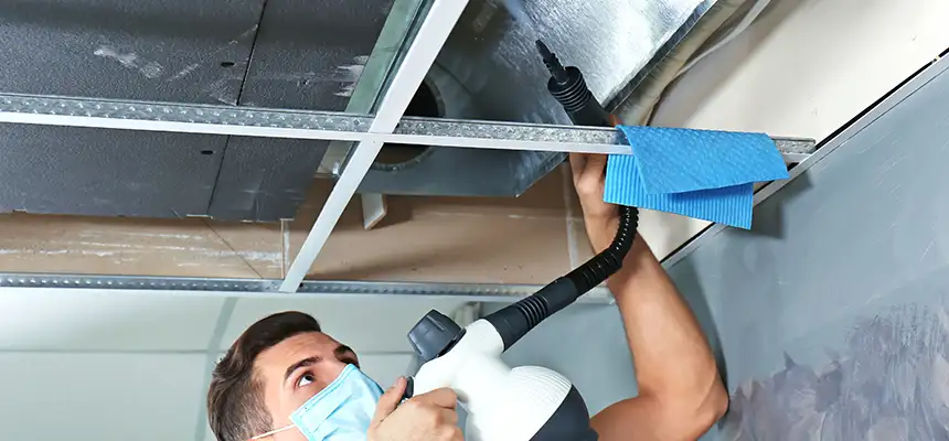 Our Air Duct Rodent Removal Services in Ormond Beach, FL