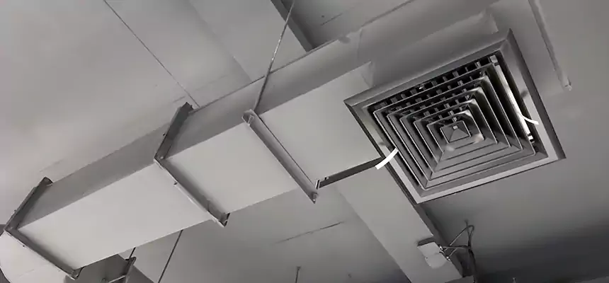 Our Pest Removal From Ducts Services in Ormond Beach, FL