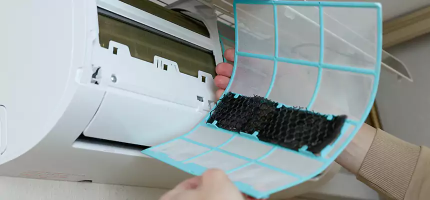 Gentle Ductwork Odor-Control Pet Dander Duct Cleaning in Ormond Beach, FL