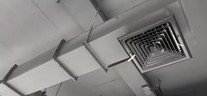 Our Rodent Droppings In Vents Services in Ormond Beach, FL