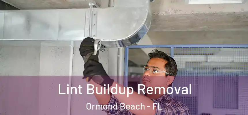 Lint Buildup Removal Ormond Beach - FL