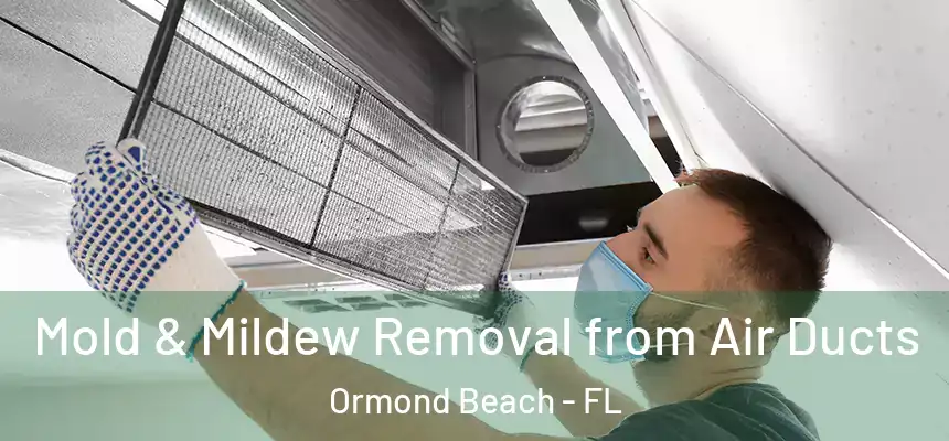  Mold & Mildew Removal from Air Ducts Ormond Beach - FL