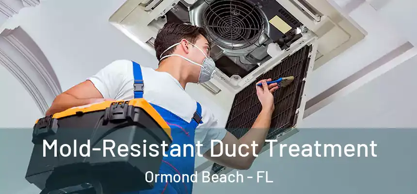  Mold-Resistant Duct Treatment Ormond Beach - FL