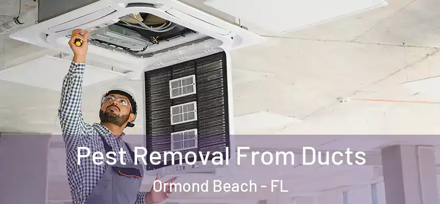  Pest Removal From Ducts Ormond Beach - FL