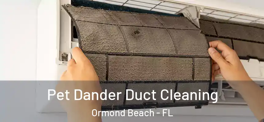  Pet Dander Duct Cleaning Ormond Beach - FL