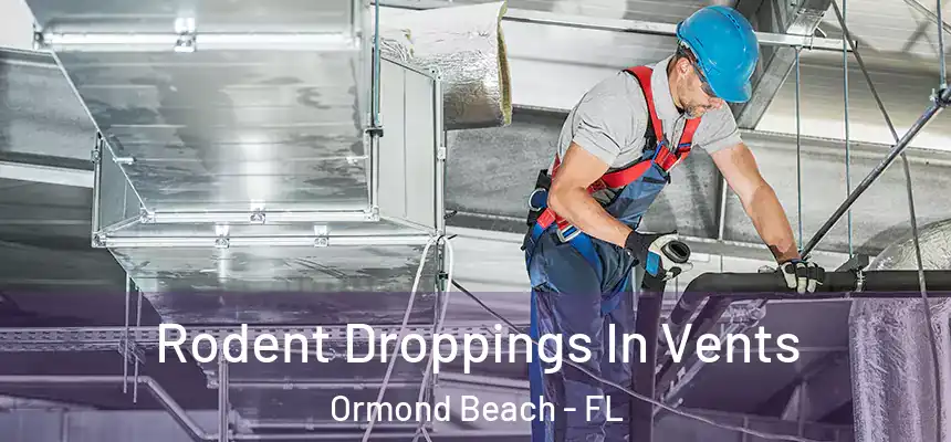  Rodent Droppings In Vents Ormond Beach - FL