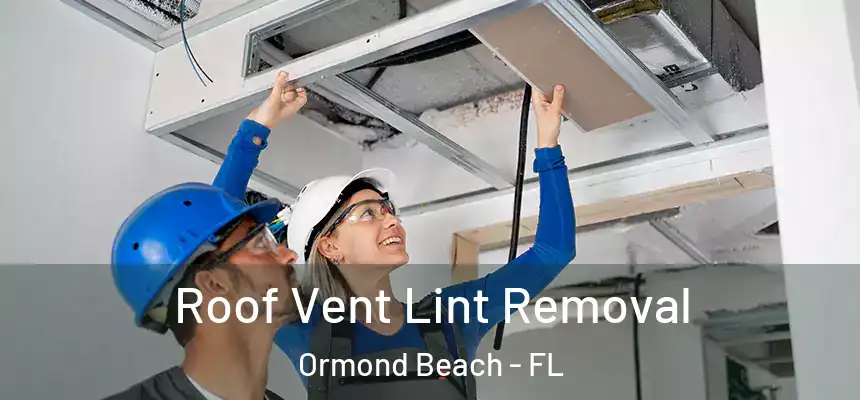  Roof Vent Lint Removal Ormond Beach - FL