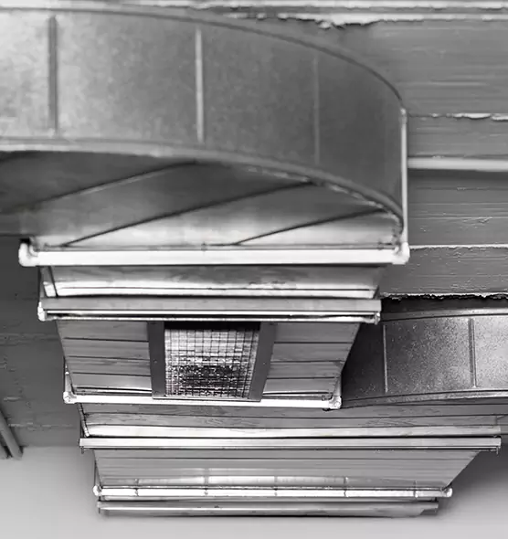 Professional Air Duct Pet Hair Removal in Ormond Beach, FL