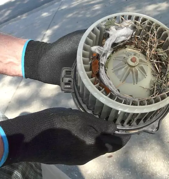 About Air Duct Rat Removal in Ormond Beach, FL