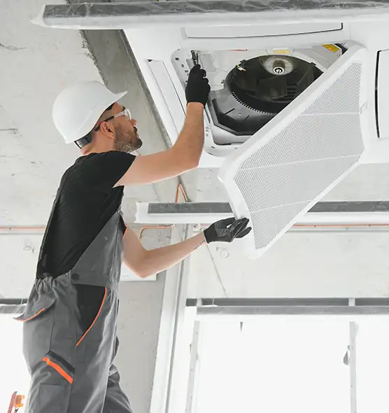 About Air Duct Rodent Removal in Ormond Beach, FL