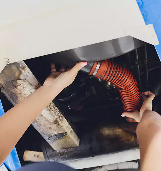 About Air Duct Virus Disinfection in Ormond Beach, FL