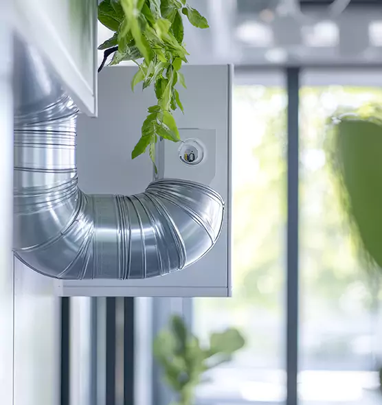 Professional Eco-Safe Dryer Vent Cleaning in Ormond Beach, FL