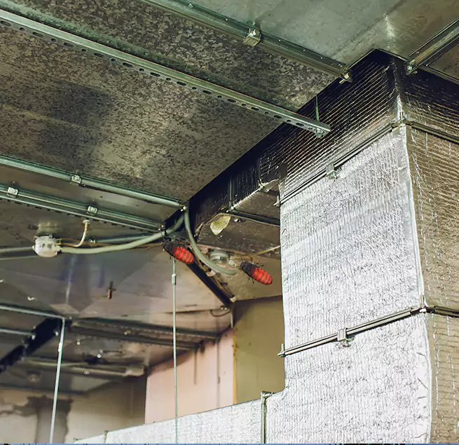 Why Homeowners & Businesses Trust Us in Ormond Beach, FL?