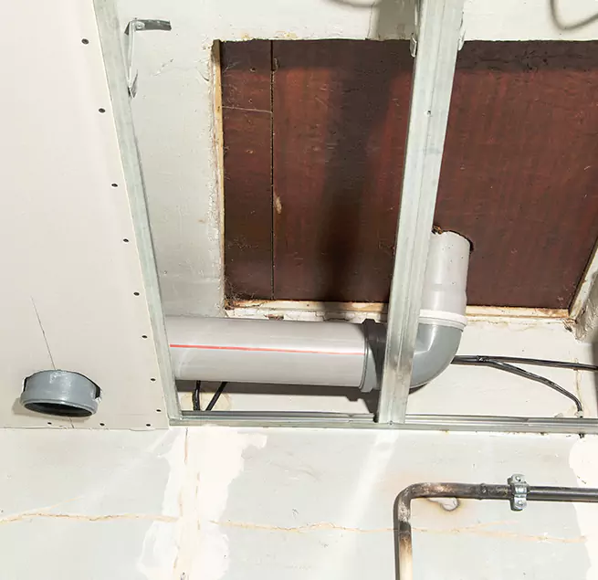 Why Homeowners & Businesses Trust Us in Ormond Beach, FL?