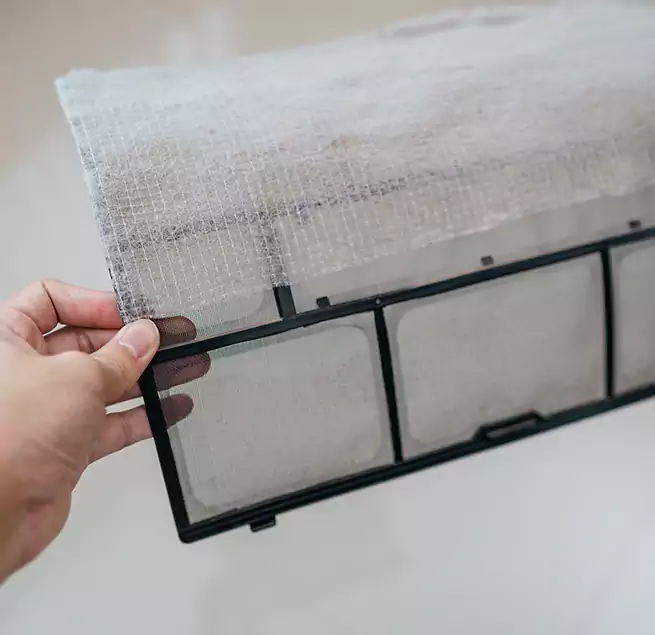 Why Homeowners & Businesses Trust Us in Ormond Beach, FL?