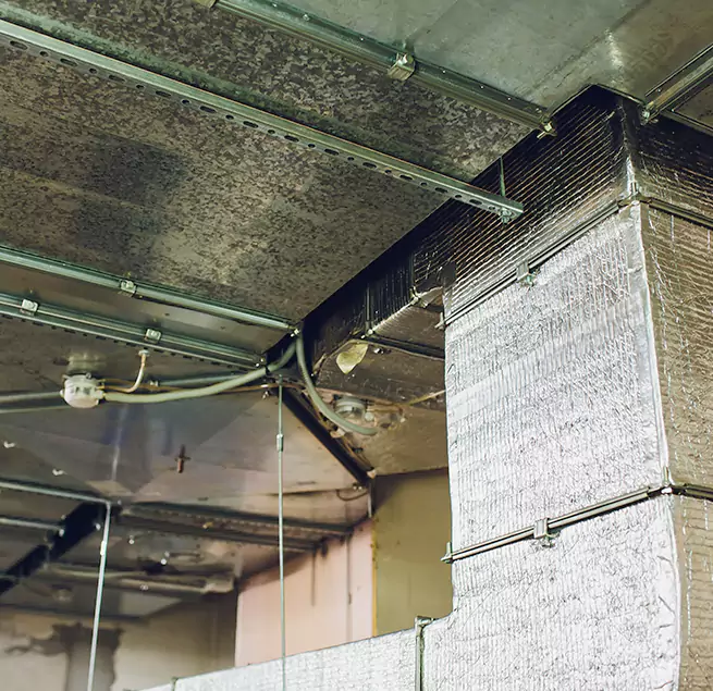 Why Homeowners & Businesses Trust Us in Ormond Beach, FL?