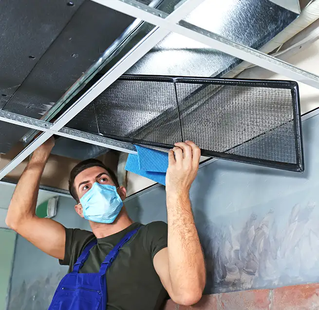 Why Homeowners & Businesses Trust Us in Ormond Beach, FL?