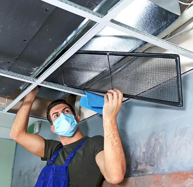 Why Homeowners Businesses Trust Us in Ormond Beach, FL?