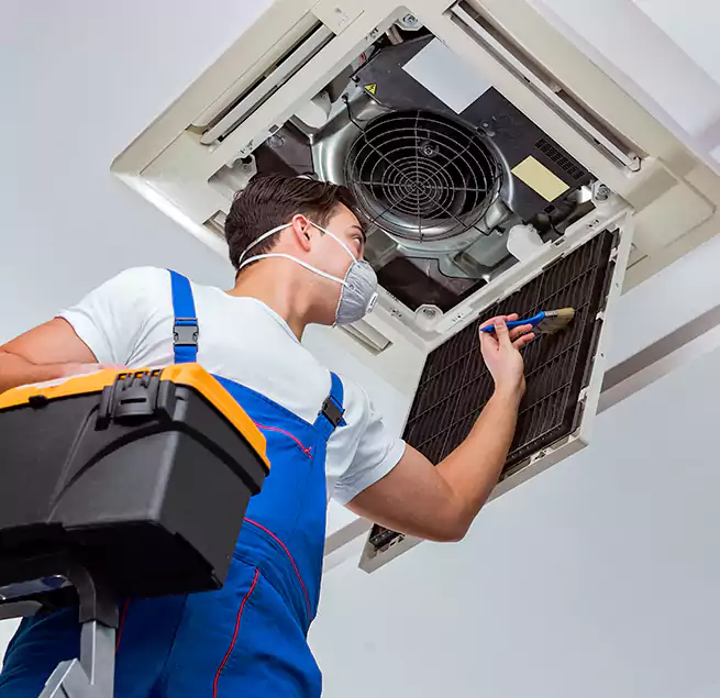 Why Homeowners & Businesses Trust Us in Ormond Beach, FL?